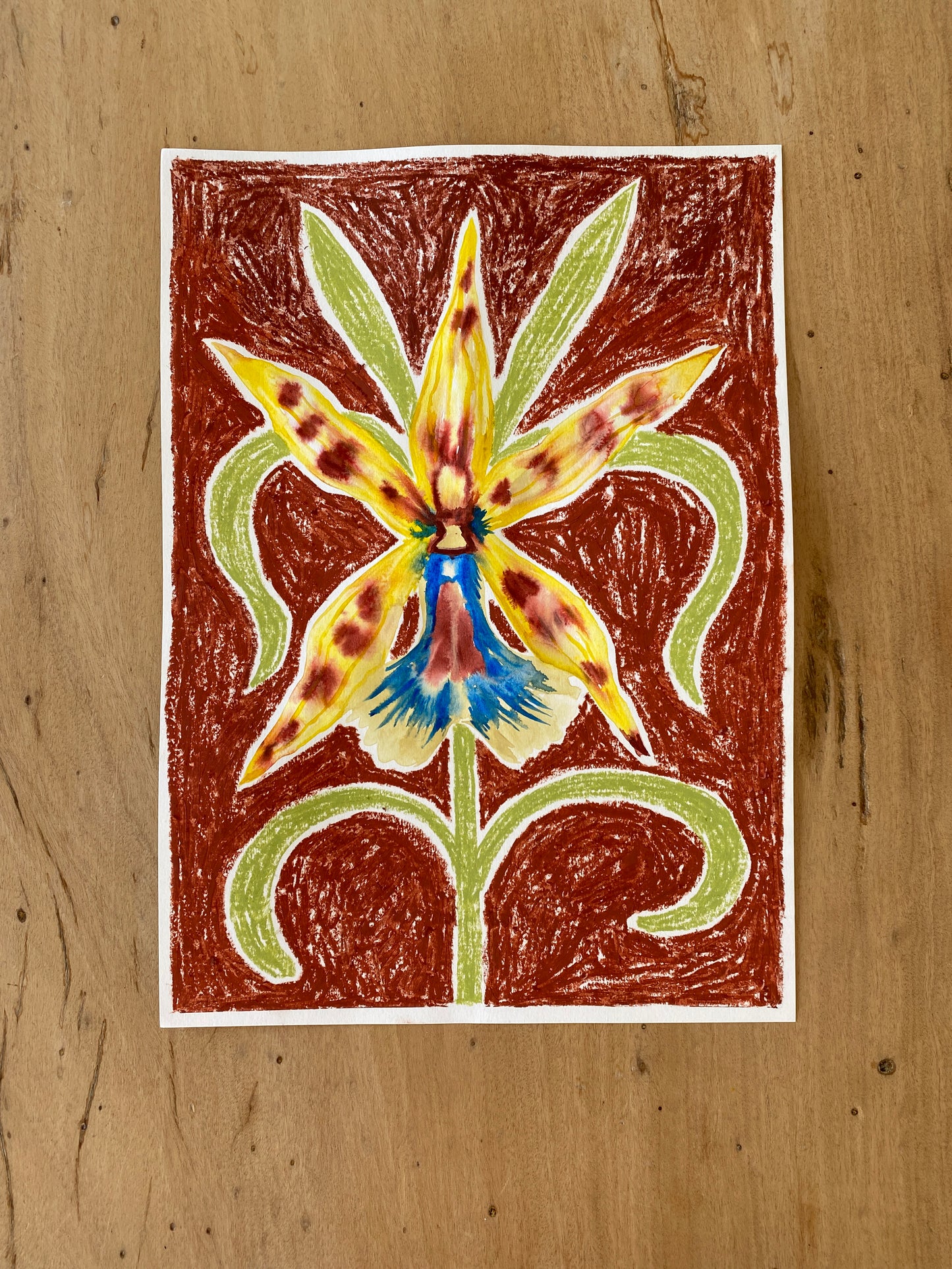 ORQUIDEA 2