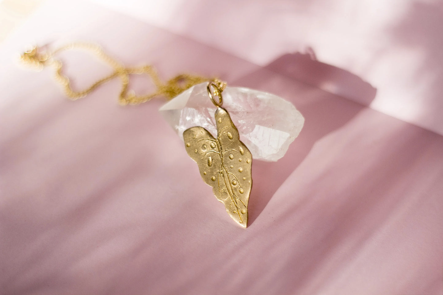 CHAIN BEGONIA