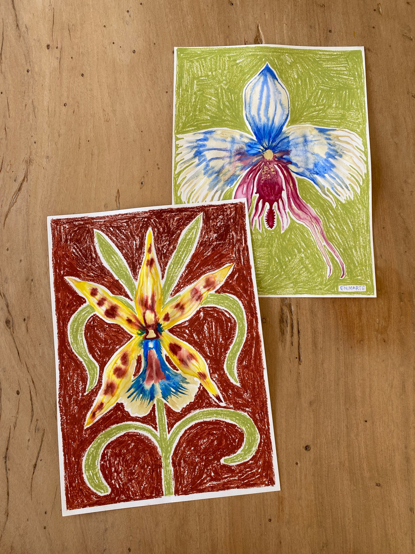 ORQUIDEA 2