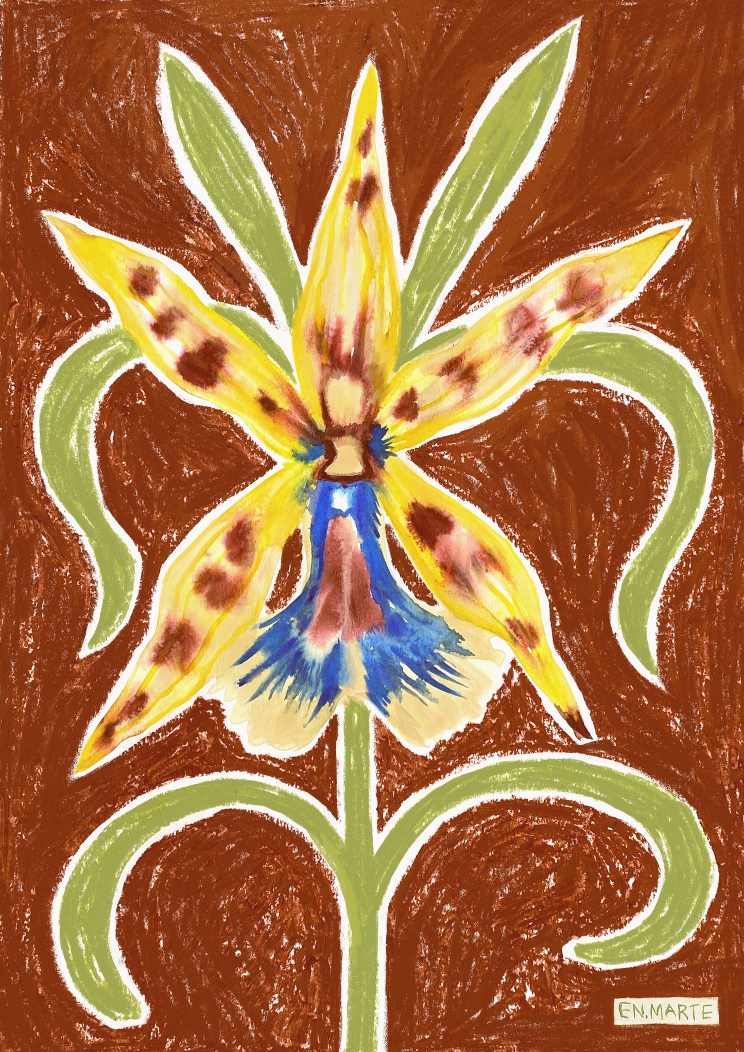 ORQUIDEA 2