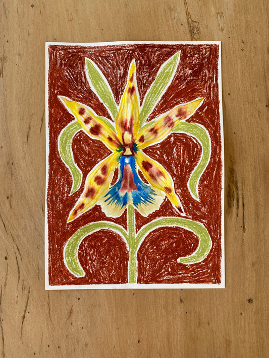 ORQUIDEA 2