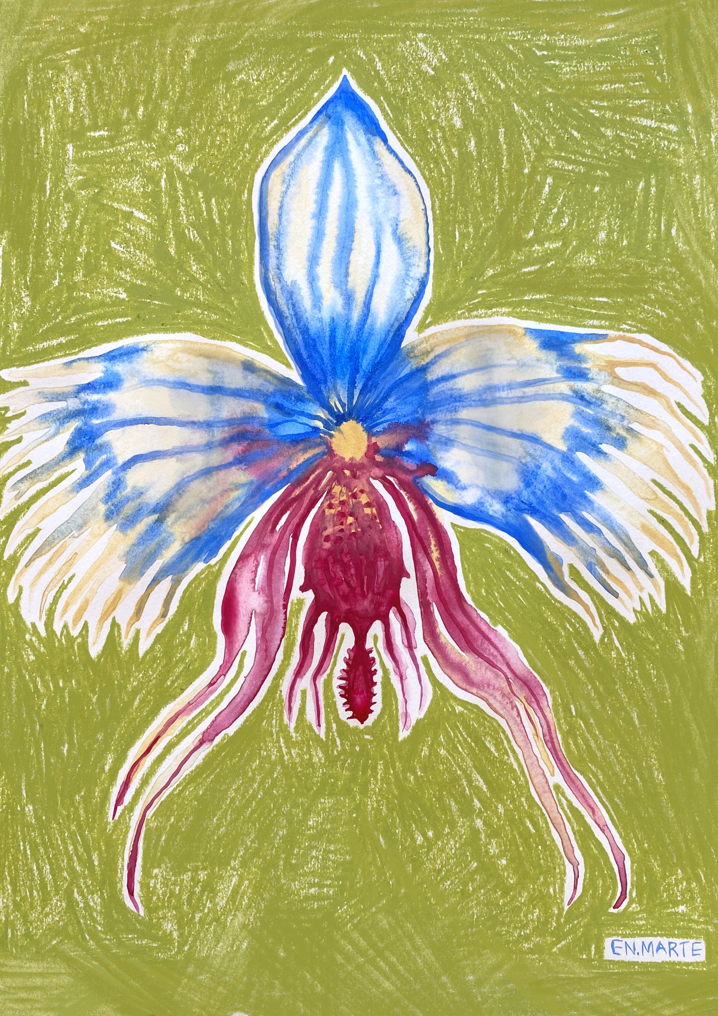 ORQUIDEA 1