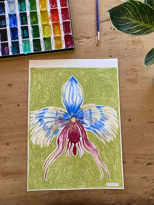 ORQUIDEA 1